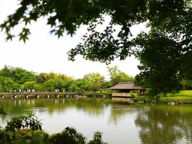 国営昭和記念公園池